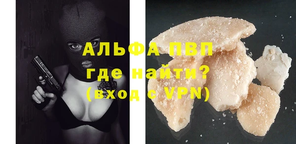 шишки Осташков