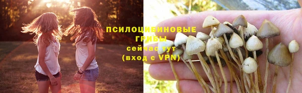 твердый Нязепетровск