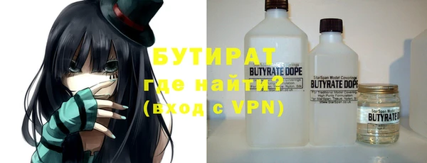 шишки Осташков