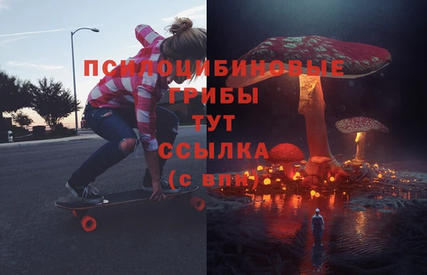винт Няндома