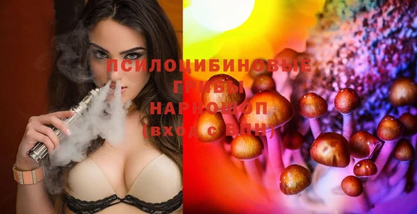 винт Няндома