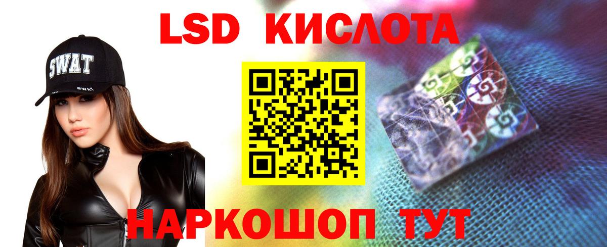 Псилоцибиновые грибы Новоуральск