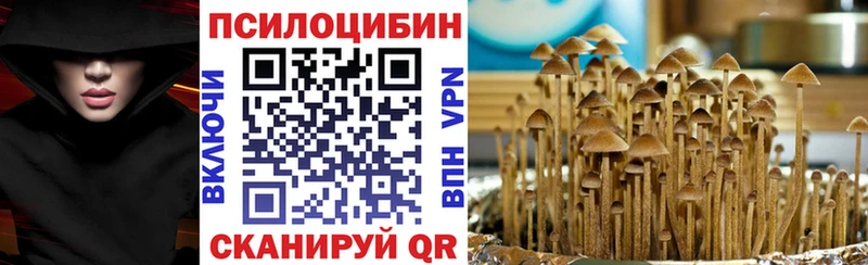 купить наркотик  Новоуральск  Псилоцибиновые грибы MAGIC MUSHROOMS 