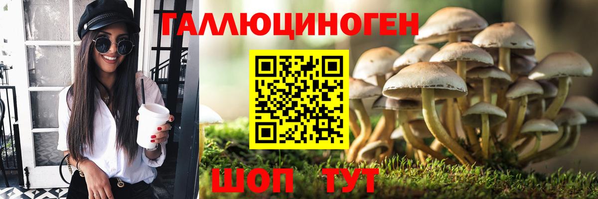 Новоуральск  Галлюциногенные грибы прущие грибы  Вход с VPN 